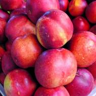 Саженец Нектарин Харблейз